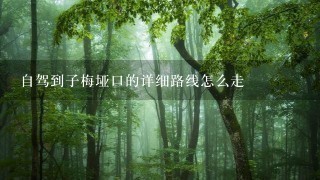 自驾到子梅垭口的详细路线怎么走