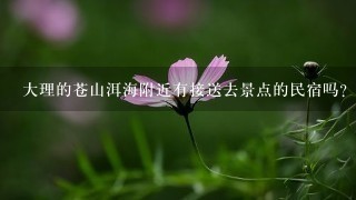 大理的苍山洱海附近有接送去景点的民宿吗？额外交费也可以的