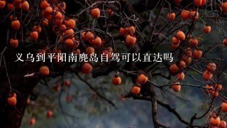 义乌到平阳南麂岛自驾可以直达吗