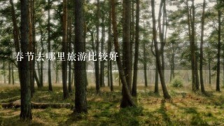 春节去哪里旅游比较好