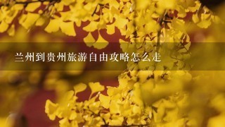 兰州到贵州旅游自由攻略怎么走