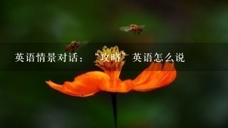 英语情景对话：“攻略”英语怎么说