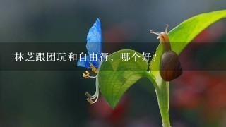 林芝跟团玩和自由行，哪个好？