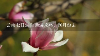 云南七日游自助游攻略，10月份去