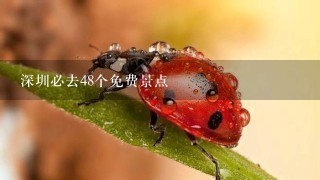 深圳必去48个免费景点