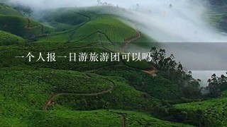 一个人报一日游旅游团可以吗