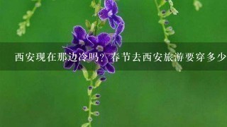 西安现在那边冷吗？春节去西安旅游要穿多少衣服为好？