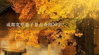 成都宽窄巷子景点介绍50字？