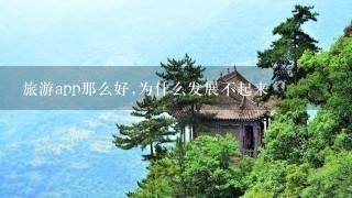 旅游app那么好,为什么发展不起来