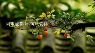 周末成都3日游玩安排