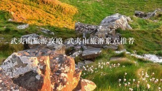 武夷山旅游攻略 武夷山旅游景点推荐