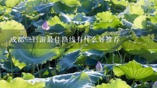 成都三日游最佳路线有什么好推荐