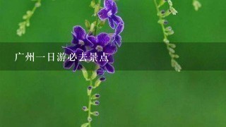 广州一日游必去景点