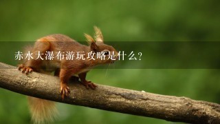 赤水大瀑布游玩攻略是什么？