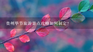 贵州毕节旅游景点攻略如何制定？