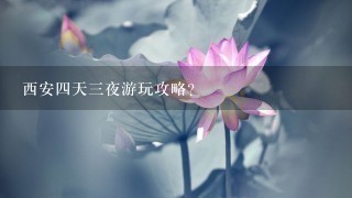 西安四天三夜游玩攻略？