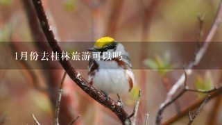 1月份去桂林旅游可以吗