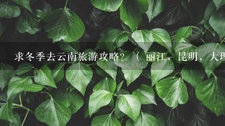 求冬季去云南旅游攻略？（ 丽江，昆明，大理，香格里拉）从长沙黄花机场出发飞抵昆明后——怎么安排路线？