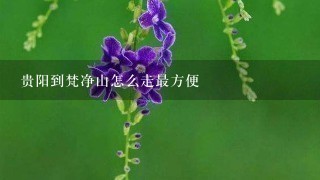 贵阳到梵净山怎么走最方便