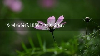 乡村旅游的规划方案怎么做？