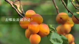 去哪旅游最合适？