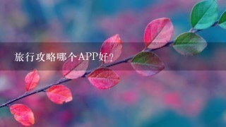 旅行攻略哪个APP好？