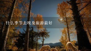 什么季节去埃及旅游最好