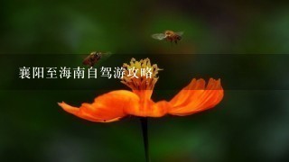 襄阳至海南自驾游攻略