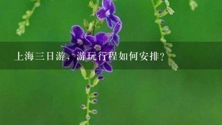 上海三日游，游玩行程如何安排？