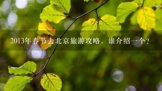 2013年春节去北京旅游攻略，谁介绍一个？