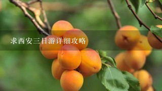 求西安三日游详细攻略