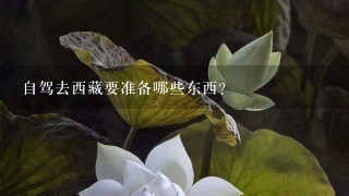 自驾去西藏要准备哪些东西？