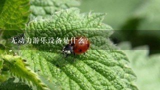 无动力游乐设备是什么？