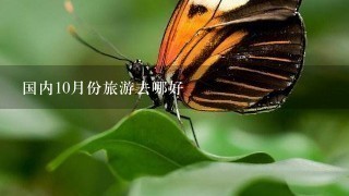 国内10月份旅游去哪好