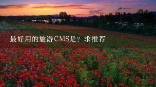 最好用的旅游CMS是？求推荐