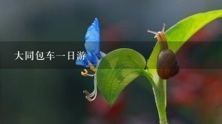 大同包车一日游