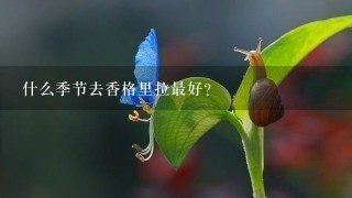 什么季节去香格里拉最好？