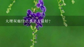 大理双廊什么季节去最好?