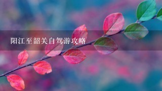 阳江至韶关自驾游攻略