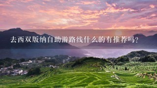 去西双版纳自助游路线什么的有推荐吗？