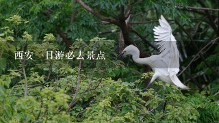 西安一日游必去景点