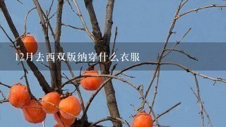 12月去西双版纳穿什么衣服