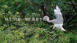 林芝2日游，帮忙推荐个线路