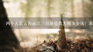 两个人去云南丽江三日游花费大概多少钱？求详细。