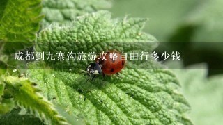 成都到九寨沟旅游攻略自由行多少钱