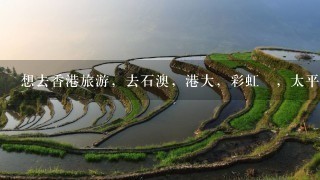 想去香港旅游，去石澳，港大，彩虹邨，太平山顶，尖沙咀，维多利亚港，天星小轮两天有好的路线建议吗