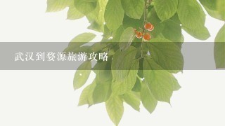 武汉到婺源旅游攻略