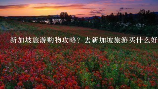 新加坡旅游购物攻略？去新加坡旅游买什么好？