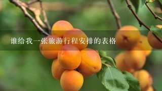 谁给我一张旅游行程安排的表格