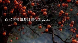 西安攻略旅游自由行怎么玩？